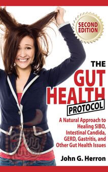 The Gut Health Protocol - Kindle Cover