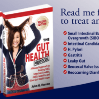 The Gut Healt Protocol