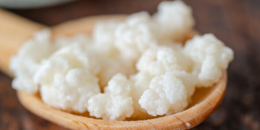 Kefir grains